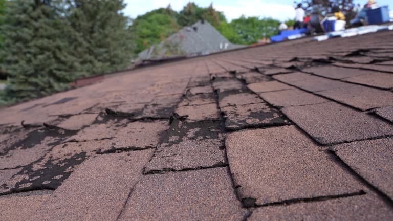 Best Storm Damage Roof Repair  in East Liverpool, OH